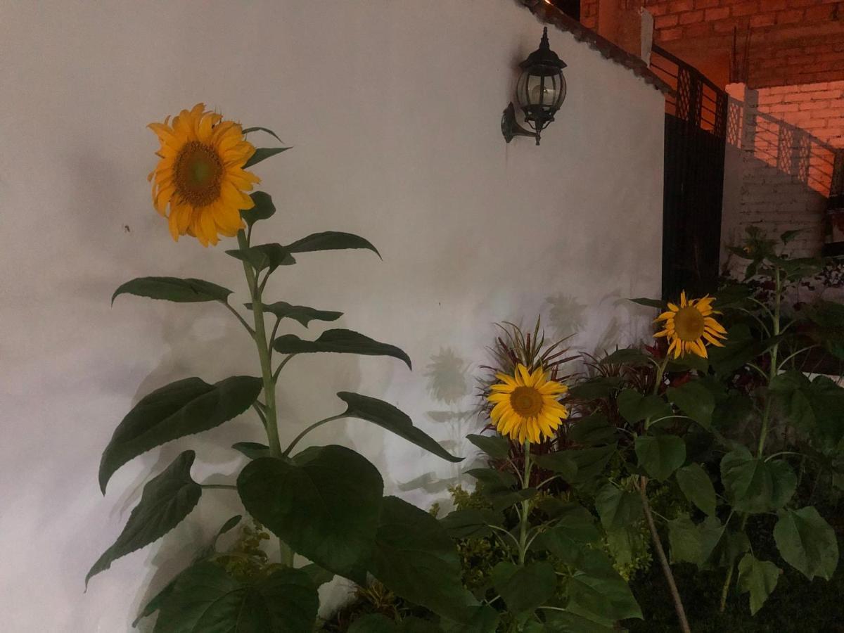 Hostel Las Palmas Vilcabamba Luaran gambar
