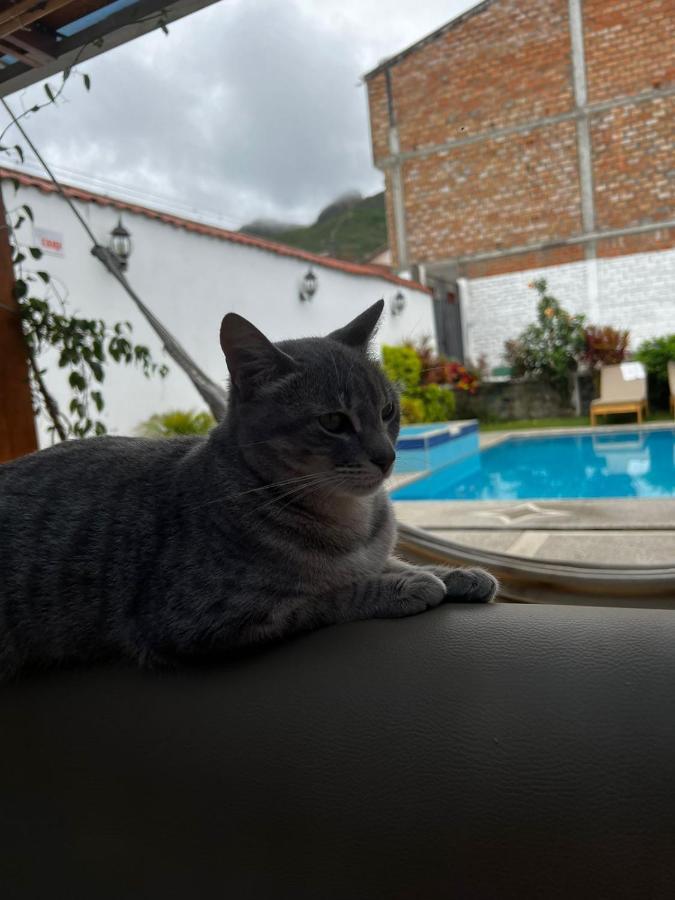 Hostel Las Palmas Vilcabamba Luaran gambar