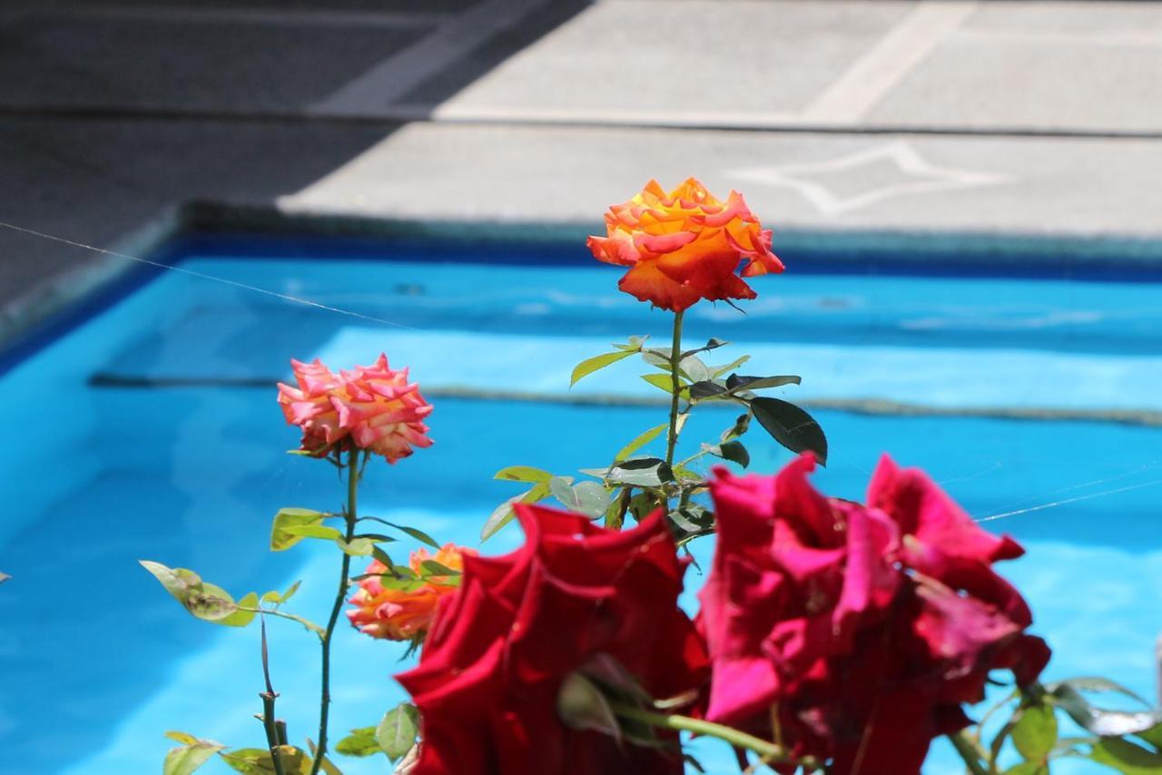 Hostel Las Palmas Vilcabamba Luaran gambar