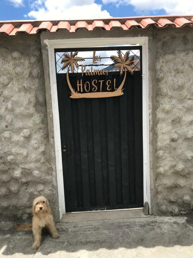 Hostel Las Palmas Vilcabamba Luaran gambar